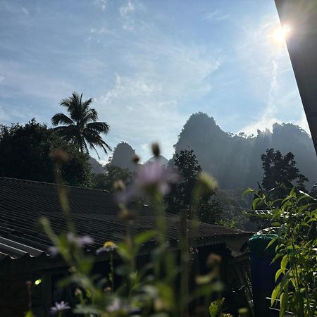 Khao Sok Backpacker Hostel Khao Sok National Park المظهر الخارجي الصورة
